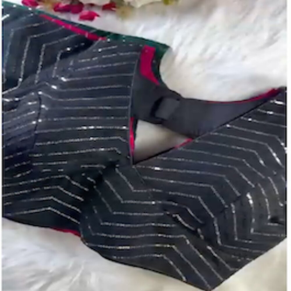 Sabyasachi Sequence Saree Blouse